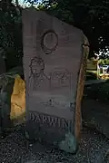 Darwin