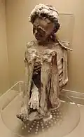 Mummy of a Chilean Atacaman man, c. 4700–3400 years before present.