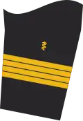 Flottenarzt (Naval Doctor cuff insignias)