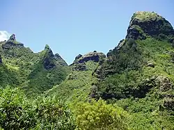 Makana Mountain ridge, as seen from the garden.