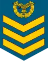 Flight Sergeant