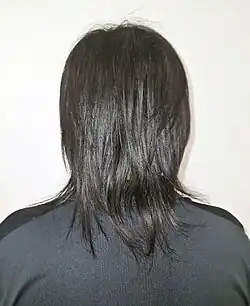 Chinese-Indonesian man with black hair from behind