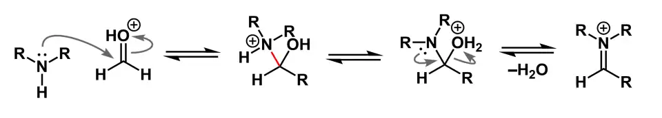 Reaction mechanism for the formation of an iminium ion. Three equilibrium arrows are drawn depicting starting materials, two intermediates, and a product. Starting materials drawn are a secondary amine and protonated carbonyl. A curved arrow originates at a lone pair on the amine and ends at the carbonyl carbon. Another curved arrow is drawn starting from the C-O pi bond and ending at the protonated carbonyl oxygen atom. The first intermediate depicted is the tetrahedral structure that results from the first set of curved arrows. The second intermediate drawn is the result of a proton transfer. The amine functional group is no longer protonated and has a neutral formal charge whereas the hydroxyl functional group is now protonated with a positive formal charge. A curved arrow starting at a lone pair on the amine ends at the C-N sigma bond. A second curved arrow starting from the C-O sigma bond ends at the oxygen atom. Below the third equilibrium arrow that follows is a minus sign next to H2O, depicting the liberation of water as a result of the curved arrows. The product is an iminium ion.