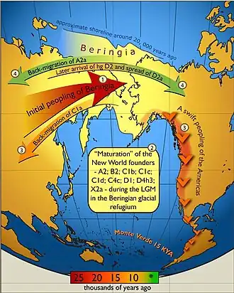 Schematic illustration of maternal geneflow in and out of Beringia. Colours of the arrows correspond to approximate timing of the events and are decoded in the coloured time-bar. The initial peopling of Berinigia (depicted in light yellow) was followed by a standstill after which the ancestors of Indigenous Americans spread swiftly throughout the New World while some of the Beringian maternal lineages, such as C1a, spread westwards. More recent genetic exchange (shown in green) is manifested by back-migration of A2a into Siberia and the spread of D2a into the Northeastern United States that post-dates the initial arrival of people in the New World.