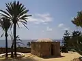 Marabutto, Pineta del Capo, Bordighera