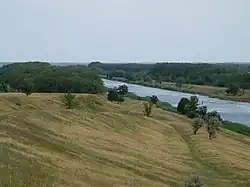 Landscape in Martynovsky District