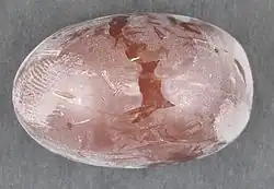 Small egg-shaped chocolate confection with a thin, noticeably white coating