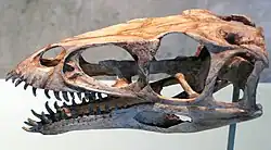 Fossils found at Berivotra