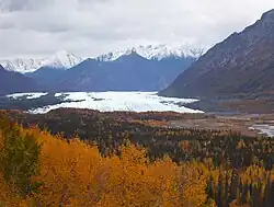 Image 6Matanuska Glacier (from Geography of Alaska)