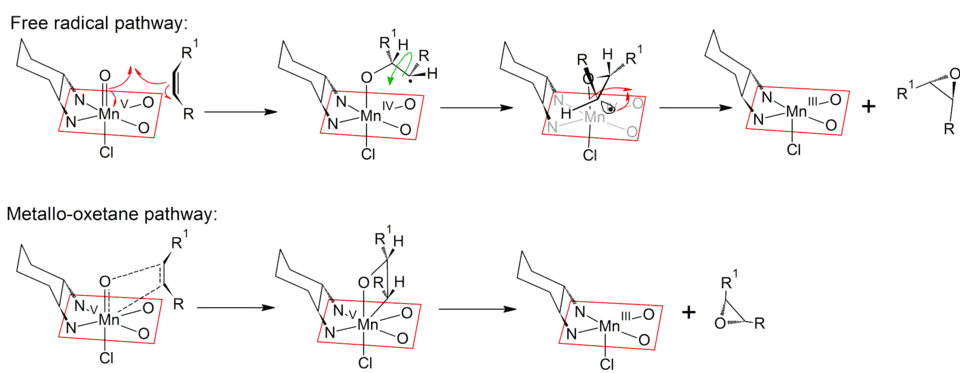 Mechanisms of the free-radical and metallo-oxetane pathways of the Jacobsen-Katsuki reaction