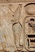 Medinet Habu Temple Column Detail