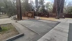 Multiple rusty stelae