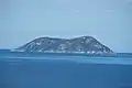 Michaelmas Island as viewed from Mount Clarence