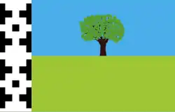 Miguel Carrillo Bascary's proposal