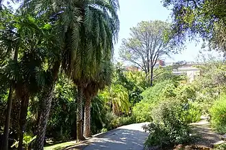 A photo of the garden