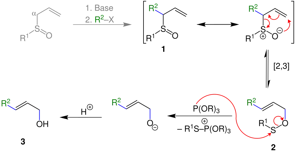 Reaktionsmechanismus Mislow-Evans-Umlagerung