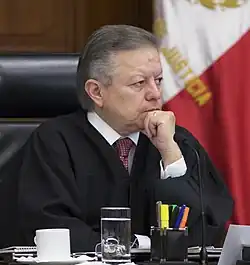Arturo Zaldívar Lelo de Larrea, jurist, President of the Supreme Court of Justice of the Nation (2019–2023)