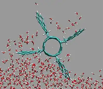 An example of a molecular propeller pumping water molecules due to its hydrophobic surface