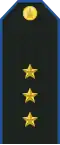 Mongolian Air force-1LT-service