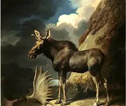 The Moose (1770), oil on canvas, 61 x 70.5&nbsp;cm., Hunterian Art Gallery