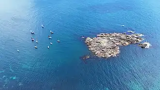 Sea Salts and Sail Festival