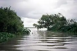 Mouth of the South Guadalupe River at Guadalupe Bay