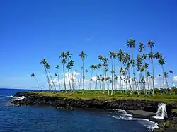 Mu Pagoa Waterfall in Palauli district.