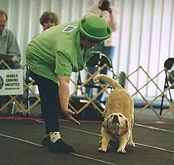 A women in a green hat and jacket bending down, presumably ushering to a dog of unknown breed. The dog is stretching.