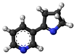 Ball-and-stick model of the myosmine molecule