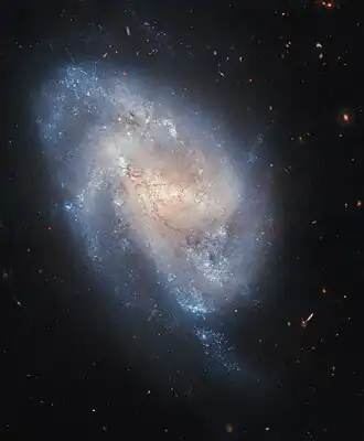 A barred spiral galaxy on a dark background. The galaxy’s central region is a pale colour due to older stars, contains some pale reddish threads of dust, and is brighter along a broad horizontal bar through the very centre. Off the bar come several stubby spiral arms, merging into the outer region of the disc. It is a cool blue colour and contains some bright sparkling blue spots, both indicating young hot stars.