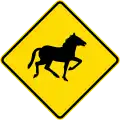 Watch for animals (wild horses)