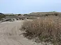 Dunes at Napeague State Park.