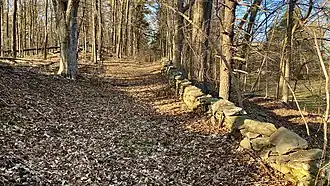 The stone wall that runs the length of the New Guinea Community Site's central Lane, Freedonia Lane, as seen in 2022.