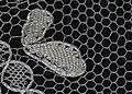 Mesh ground motif; toilé with a gimp, corner of half&nbsp;stitch, petals of cloth&nbsp;stitch