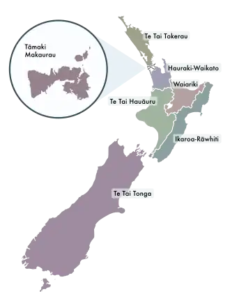 Map of the seven Māori electorates