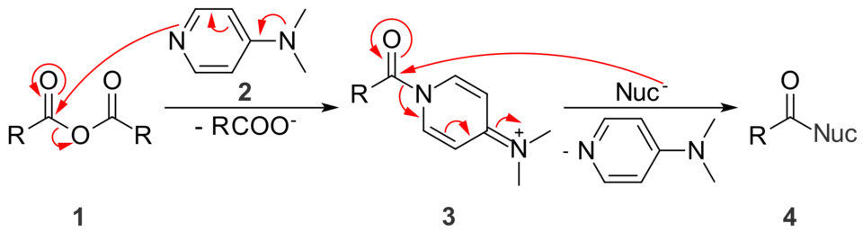 DMAP activates anhydrides towards nucleophilic substitution by creating a better leaving group.