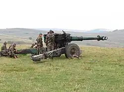 A Romanian M1981