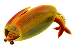 Life restoration of Odaraia, which had a trifurcate tail and probably habitually swam upside down