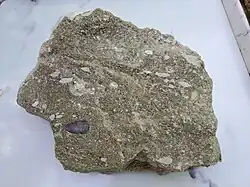 Valentine opaline sandstone with white Niobrara pebbles, Rush County, Kansas