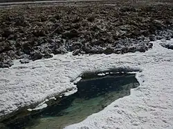 Green pond surrounded by white outcrop