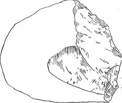 Oldowan stone chopper