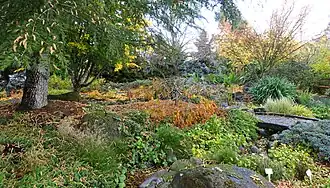 One area of the garden.