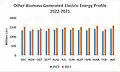 Other Biomass Generated Electric Energy Profile 2022–2021