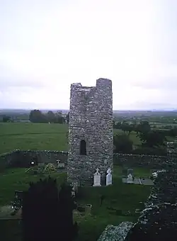 Photo of Oughterard Irish Round Tower, County Kildare, Ireland