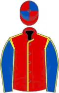 Red, Yellow seams, Royal Blue sleeves, Yellow seams, Red and Royal Blue quartered cap
