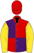 Red and purple (quartered), yellow sleeves, red cap