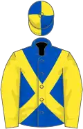 Royal blue, yellow sleeves and cross-belts, quartered cap