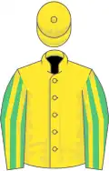 Yellow, emerald green and yellow striped sleeves, yellow cap
