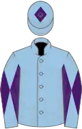 Light blue, light blue and purple diabolo on sleeves, light blue cap, purple diamond