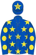Royal blue, yellow stars, royal blue sleeves, yellow spots, royal blue cap, yellow star